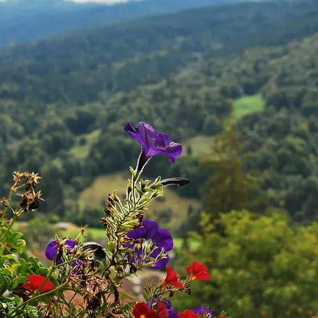 With Balcony And Panoramic Views Of Alps Клостерс