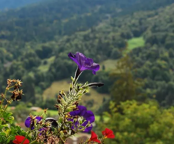 With Balcony And Panoramic Views Of Alps クロスタース